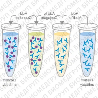 Набор для конъюгации антител PE / RPhycoerythrin Conjugation Kit, LightningLink, Abcam, ab10291860, 60 мкг