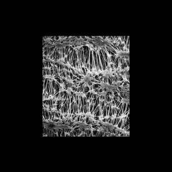 Фильтр, Флуоропор, d пор 0,22 мкм, d мембраны 25 мм, 100 шт., Merck Millipore, FGLP02500