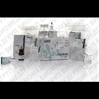 Набор RiboPure RNA Purification Kit, bacteria, Thermo FS, AM1925, 50 выделений