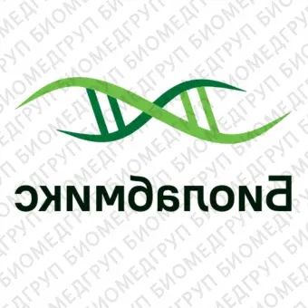 2Х смесь БиоМастер HSqPCR LoROX для проведения количественной ПЦР в реальном времени с красителем ROX400 реакций