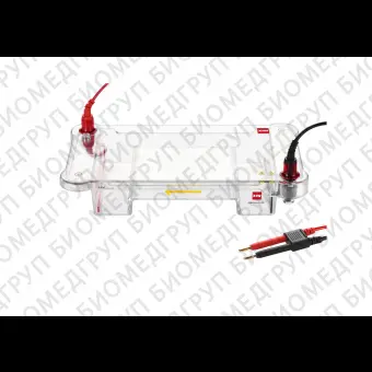 Электрофорезная горизонтальная камера, 1313 и 136,5 и 6,513 и 6,56,5 см, WIXmidiDNA, Китай, 10101001