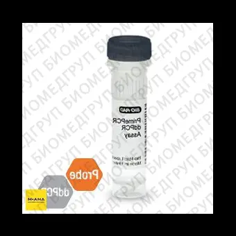 Набор IDH2 R172K мутация PrimePCR ddPCR, 200 реакций, BioRad, 1863134