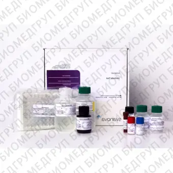 Набор реагентов SVANOVIR BLV gp51Ab Screen для обнаружения антител к лейкозу КРС методом ИФА стрипованные планшеты10 планшетов