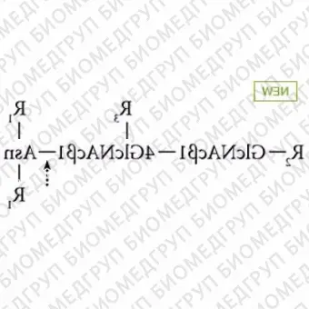 Nгликаназа AdvanceBio PNGase F, 2,5 ЕД/мл ранее ProZyme