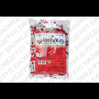 Жевательная резинка с ксилитом Xylitol Chewing Gum 100 х 2 шт, Peppermint перечная мята