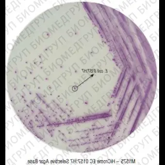 Агар селективный HiCrome для выделения и дифференциации E.coli O157:H7 500 г ФСЗ 2009/03705