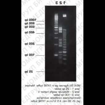 Агароза, низкий EEO, MS6, Molecular Screening, повышенная четкость разделения фрагментов 150750 п.н., Импорт, 1953.0250, 250 г