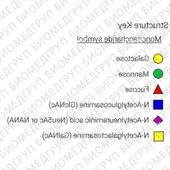 Стандарт AdvanceBio InstantQ G0N/A1 Nгликанов ранее ProZyme. Nгликан асиало, агалакто, биантенный комплекс Nгликан1 Nацетилглюкозамин, меченный InstantQ, для использования в качестве качественного стандарта с системой анализа гликанов GlyQ. А