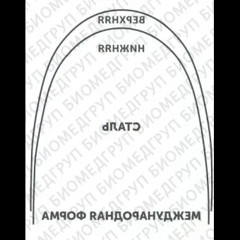 Дуги ортодонтические международная форма Нержавеющая сталь для нижней челюсти SS L .019x.025/.48x.64