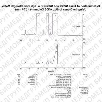 Dionex IonPac AS30 Analytical and Guard IC Columns