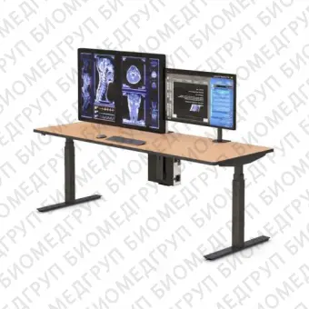 Информационная рабочая станция для рентгенологии Single Tier Workstation 84  Home Use