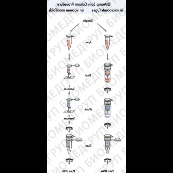 Набор для выделения ДНК из крови и биологических жидкостей QIAamp DNA Blood Mini Kit, Qiagen, 51104, 50 выделений