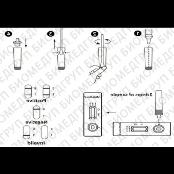 Экспресстест пневмонии K511416D