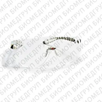 Hogies Eyeguard Standard защитные очки для врача