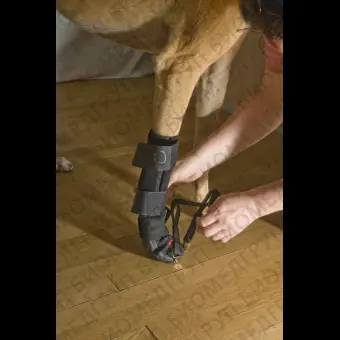 Ветеринарная шина для лап Forelimb DorsiFlex Assist