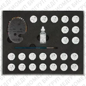 Universal Stain Kit Assortment  Набор красителей набор 600700