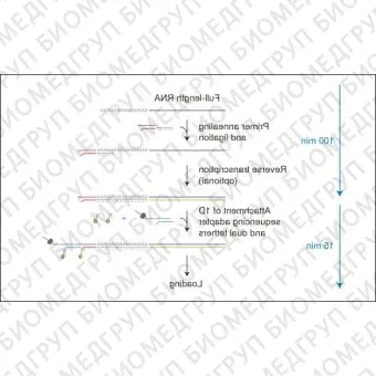 Набор для прямого секвенирования РНК, Direct RNA Sequencing Kit, Oxford Nanopore Technologies, SQKRNA002