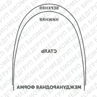 Дуги ортодонтические международная форма верхние INT NiTi TA U .019x.025/.46x.64
