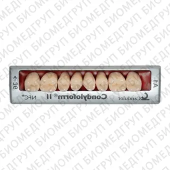 Condyloform II NFC  композитные боковые зубы