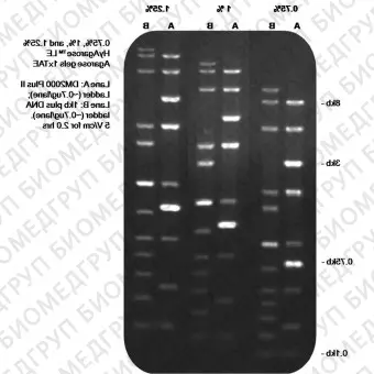 Реактив агарозный гель HyAgarose LE Agarose