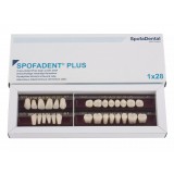 Spofadent Plus (А1) 1/37-0/5-1/62