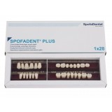 Spofadent Plus (С1) 1/21-0/2-1/60