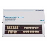 Spofadent Plus (С3) 1/17-0/6-77N