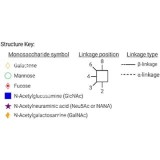 Стандарт N-гликанов AdvanceBio InstantPC G2FGa1 / FA2G2Ga(3)1 (ранее ProZyme)