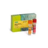 Набор iScript™ Advanced cDNA Synthesis Kit для синтеза кДНК(25 реакций)