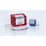 Набор QIAseq Stranded Total RNA Library Kit для подготовки библиотек для секвенирования транскриптома (для Illumina)(24 реакции)