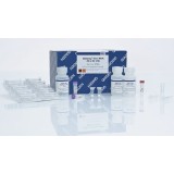 Набор QIAamp Viral RNA Mini Kit для выделения РНК вирусов(250 реакций)