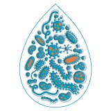 Микропланшет 96-луночный Ecoplate для анализа микробных сообществ (10 шт/уп.)